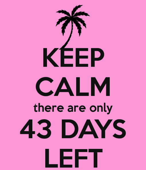 keep-calm-there-are-only-43-days-left-1